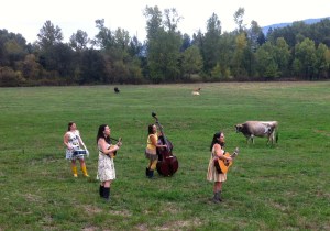 Making the video in the Cowichan Cow Fields
