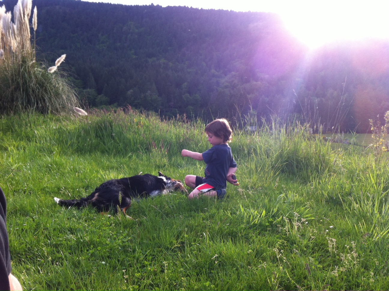 photo (11)